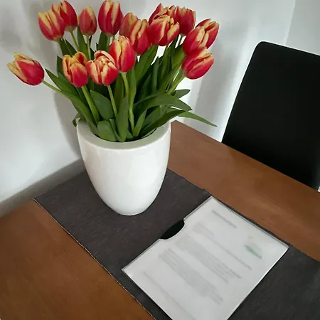 Kaesbauer Steinberg Am Apartment